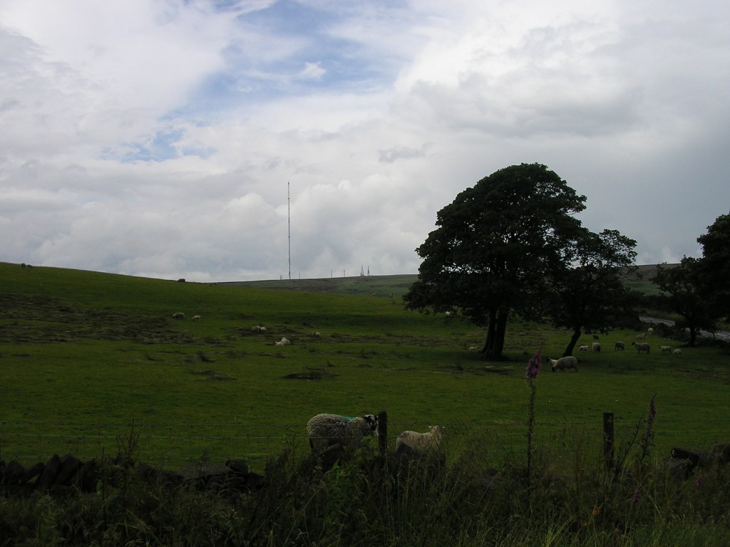 Out Walk : Winter Hill