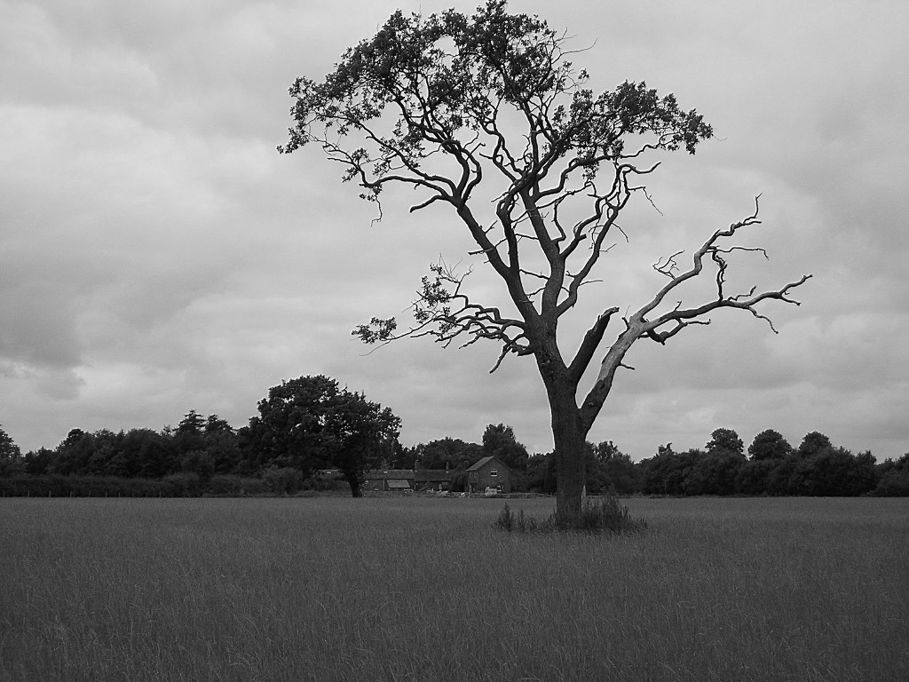 Out Walk : Dunham&nbsp;Massey