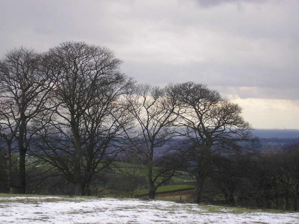 Macclesfield Drive Out
