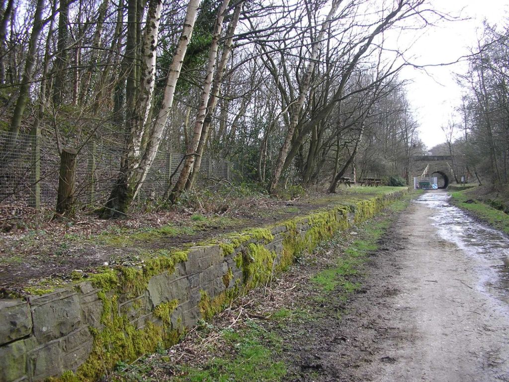 Out Walk : Middlewood Way