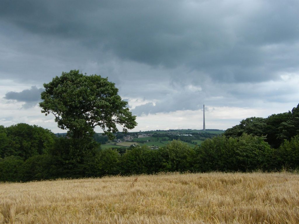 Trip to Shepley