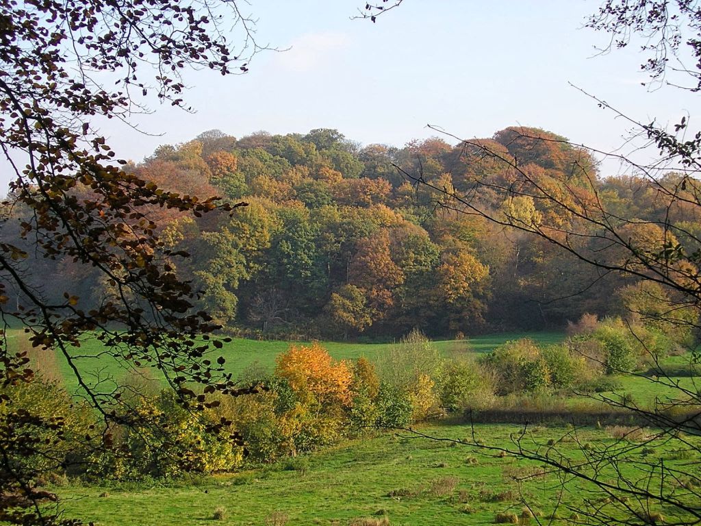 Out Walk : Alderley&nbsp;Edge